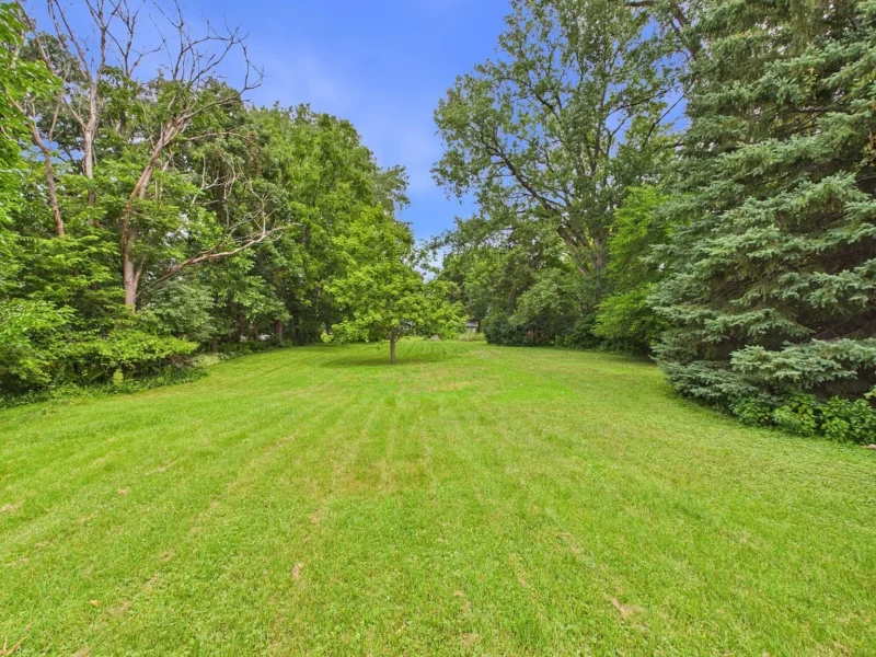 Open grass and evergreens at the rear of the lot